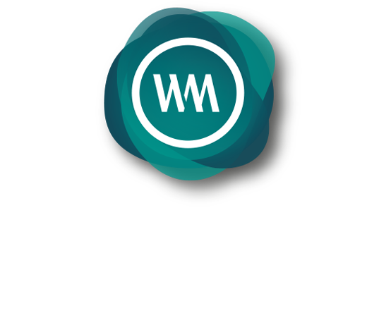 logo wemay